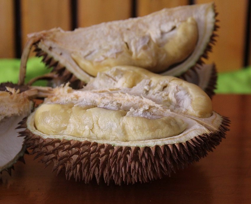 hinh-thong-bao